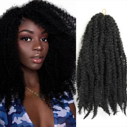 Afro Braided Hair Extensions