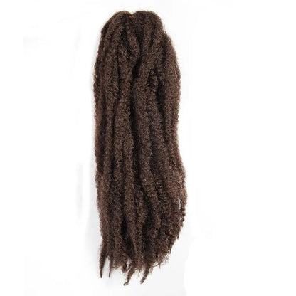 Afro Braided Hair Extensions