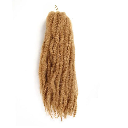 Afro Braided Hair Extensions