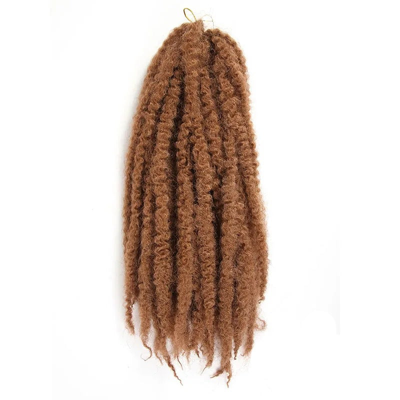 Afro Braided Hair Extensions