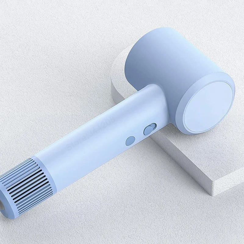 Professional Quick Hair Dryer