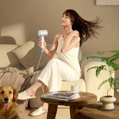 Professional Quick Hair Dryer