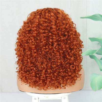 Swiss Lace Front Fluffy Curly Wigs