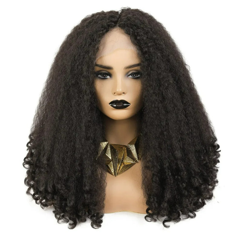 Synthetic Curly Lace Front Wig